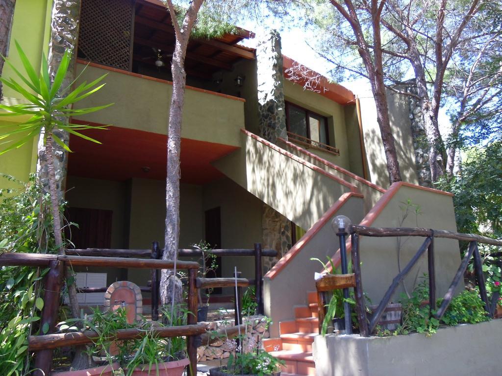 Pinus Village