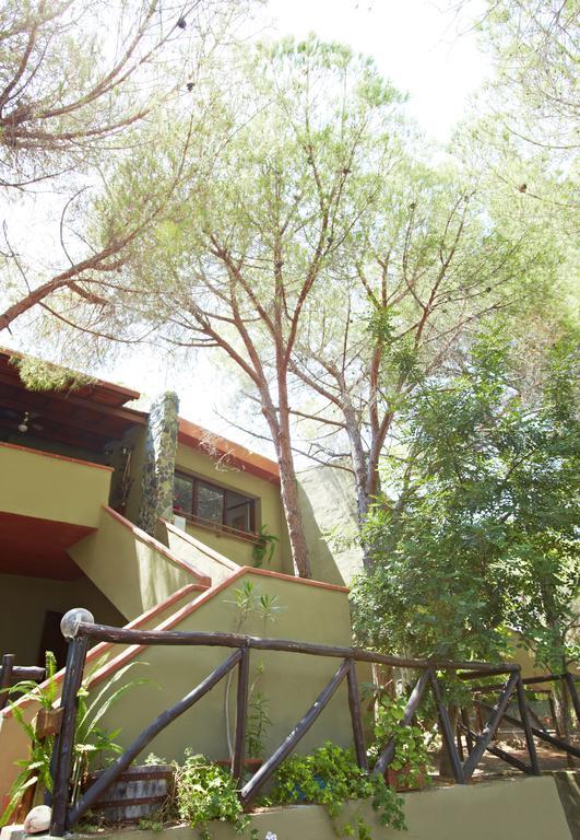 Pinus Village *