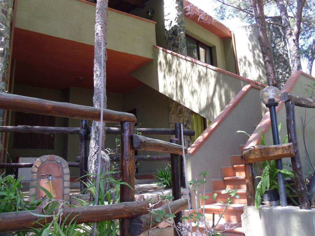 Pinus Village *